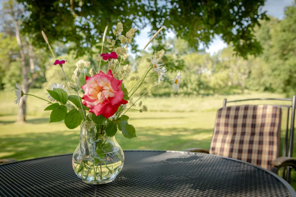 Exterieur van La Joyeuse: bloemen op terras