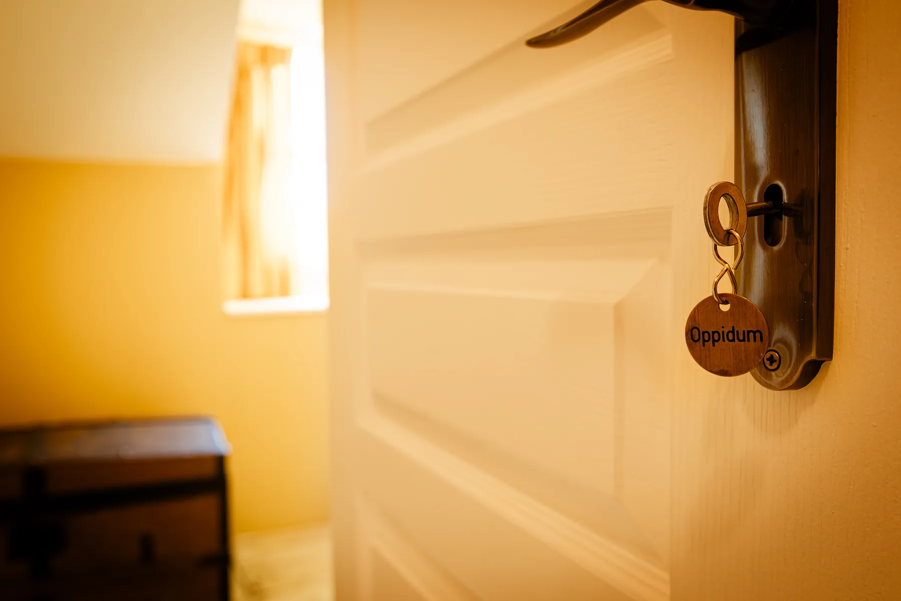Sleuteldetail van kamer Oppidum bij La Joyeuse