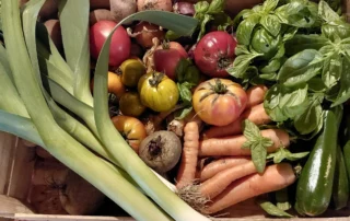 Crate of organic seasonal vegetables from the Berry