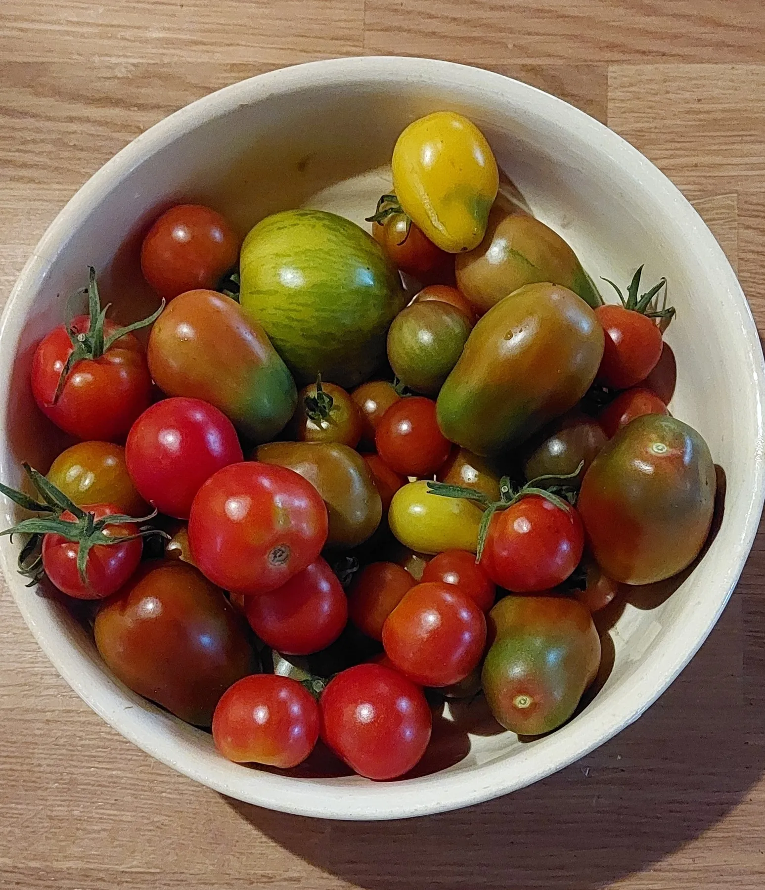 Tomates cultivées dans la serre de La Joyeuse